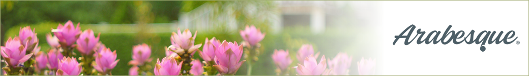 Out-of-focus pink magnolia flowers at left and Arabesque wordmark on right.